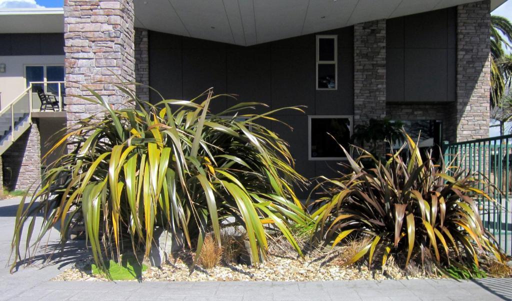 Stay 284 Rotorua - Refurbished Modern Accommodation ภายนอก รูปภาพ